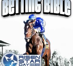 Risen Star 2025 Picks & Tips | Betting Bible New Lower Price